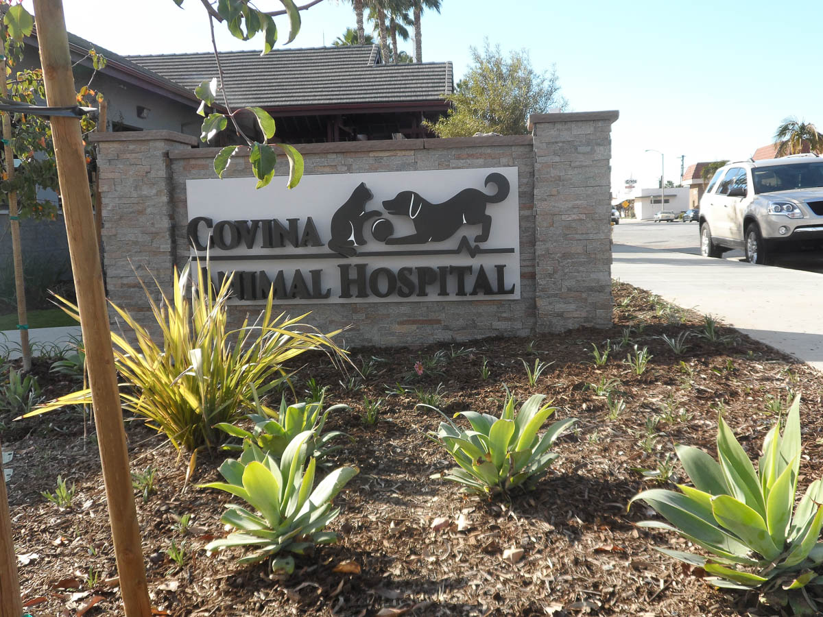 2015-01-23-02-59-10_0008